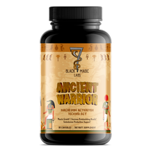 Load image into Gallery viewer, Ancient Warrior