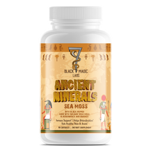 Load image into Gallery viewer, Ancient Minerals