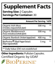 Load image into Gallery viewer, Ancient Minerals